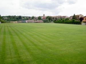 CAMP DE FUTBOL MPAL. DE COLLSUSPINA