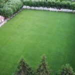 CAMP DE FUTBOL ZEM DE BORGONYÀ
