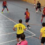 pavello-mpal-firal-de-remolins-pista-1-1